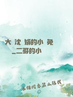 劉大壯沈麗娟的小說免費閱讀