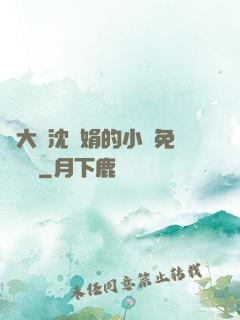 劉大壯沈麗娟的小說免費閱讀