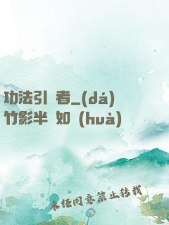 功法引讀者