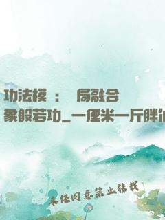 功法模擬：開局融合龍象般若功