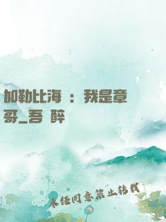 加勒比海盜：我是章魚哥