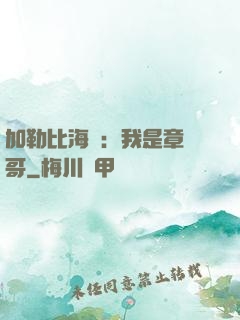 加勒比海盜：我是章魚哥