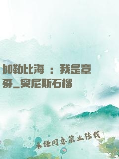 加勒比海盜：我是章魚哥