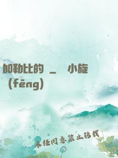加勒比的夢