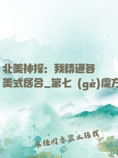 北美神探：我精通各種美式居合
