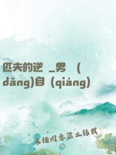 匹夫的逆襲