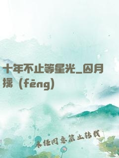 十年不止等星光