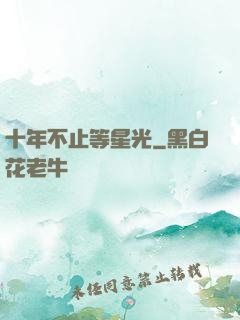 十年不止等星光