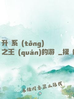 升級系統(tǒng)之王權(quán)的游戲