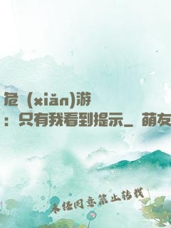 危險(xiǎn)游戲：只有我看到提示
