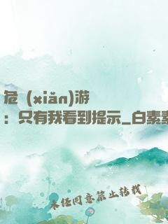 危險(xiǎn)游戲：只有我看到提示