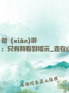 危險(xiǎn)游戲：只有我看到提示