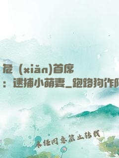 危險(xiǎn)首席：逮捕小萌妻