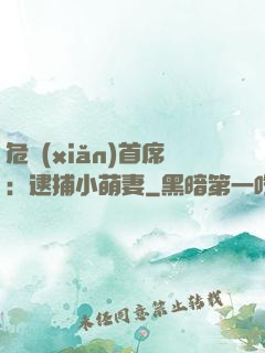 危險(xiǎn)首席：逮捕小萌妻