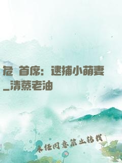 危險首席：逮捕小萌妻
