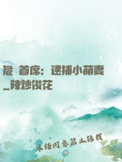 危險首席：逮捕小萌妻