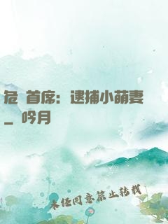 危險首席：逮捕小萌妻