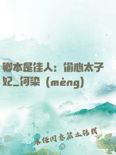 卿本是佳人：偷心太子妃