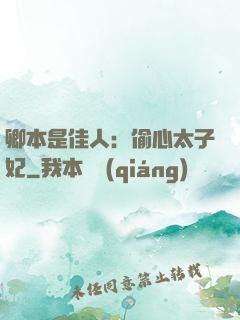 卿本是佳人：偷心太子妃