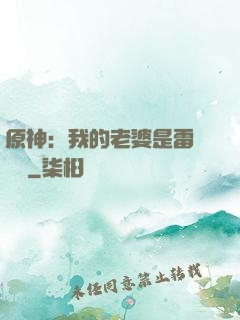 原神：我的老婆是雷電將軍