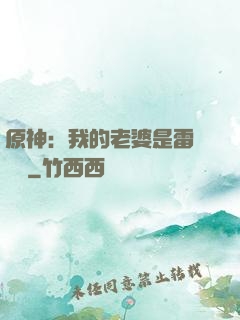 原神：我的老婆是雷電將軍