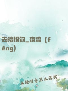 去暗投你