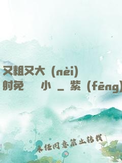 又粗又大內(nèi)射免費視頻小說