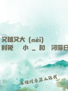 又粗又大內(nèi)射免費視頻小說