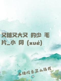 又粗又大又黃的少婦毛片