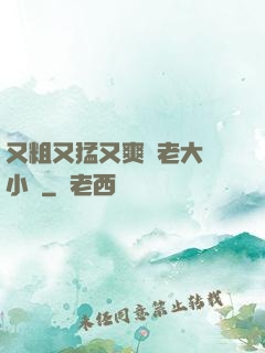 又粗又猛又爽黃老大爺小說