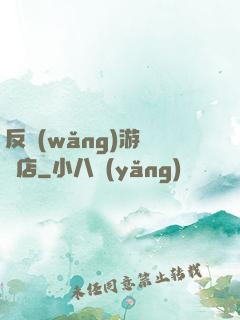 反網(wǎng)游雜貨店