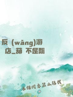 反網(wǎng)游雜貨店
