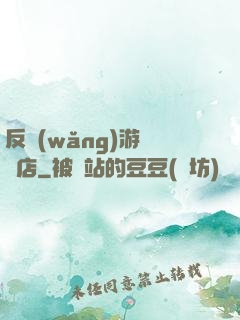 反網(wǎng)游雜貨店