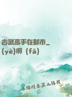 古武高手在都市