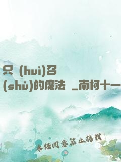 只會(huì)召喚術(shù)的魔法師