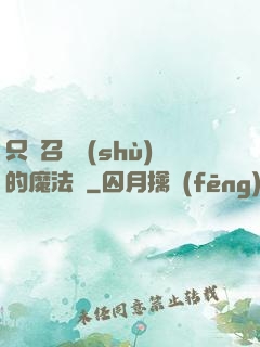 只會召喚術(shù)的魔法師