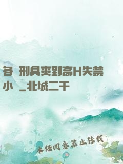 各種刑具爽到高H失禁小說