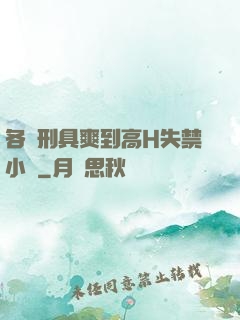 各種刑具爽到高H失禁小說
