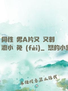 同性雙男A片又黃又刺激小說免費(fèi)
