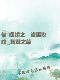 名門暖婚之權爺追妻攻略