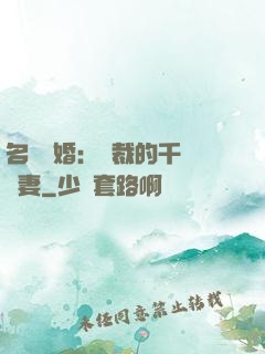 名門閃婚：總裁的千億寵妻