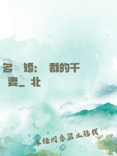名門閃婚：總裁的千億寵妻