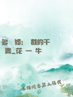 名門閃婚：總裁的千億寵妻