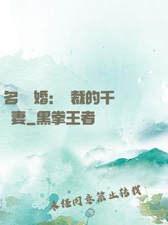 名門閃婚：總裁的千億寵妻