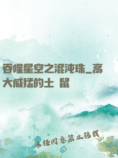 吞噬星空之混沌珠