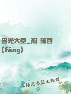 含光大圣