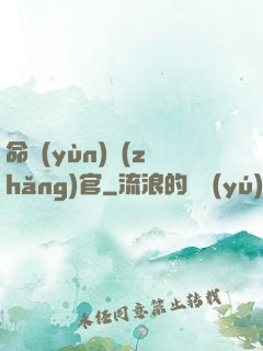 命運(yùn)長(zhǎng)官