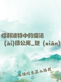 哈利波特中的魔法師與愛(ài)情公寓