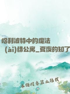 哈利波特中的魔法師與愛(ài)情公寓