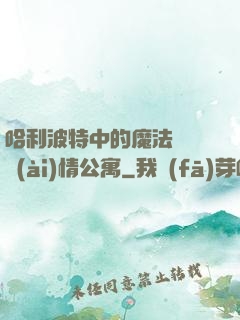 哈利波特中的魔法師與愛(ài)情公寓